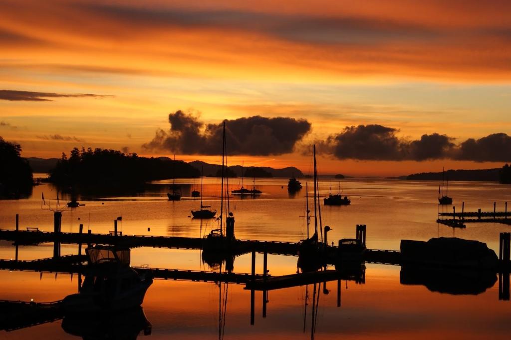 a sunset over a marina with boats in the water at Harbour House Hotel in Ganges