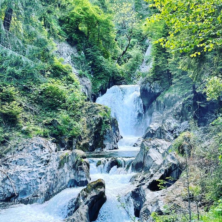 Príroda v okolí apartmánu