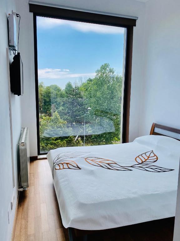 Olimp apartment with terrace - 带露台的公寓