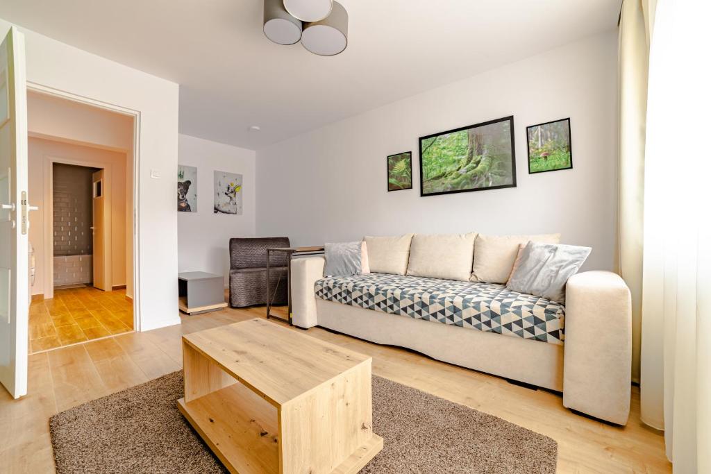 - un salon avec un canapé et une table dans l'établissement Mid-Term Rental Racadau Apartment, à Braşov