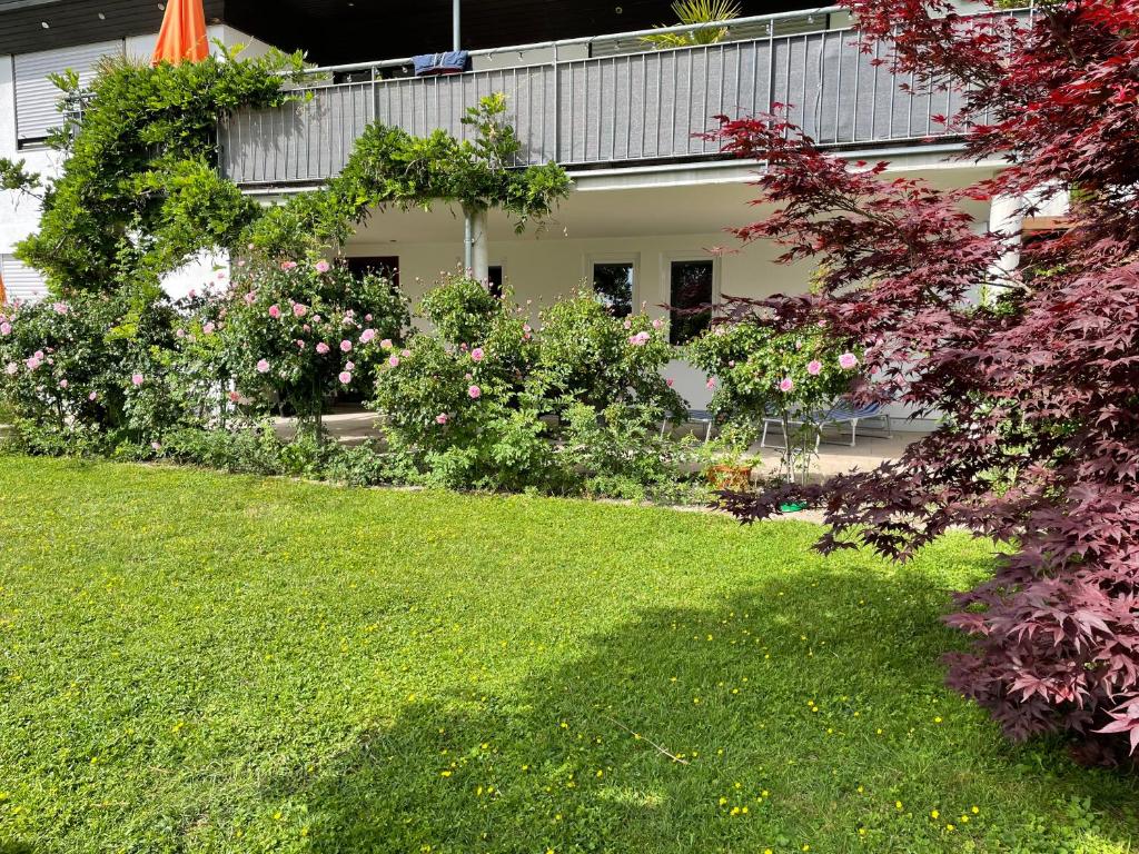 un jardin de fleurs et de plantes devant une maison dans l'établissement Splendid Park, à Uhldingen-Mühlhofen