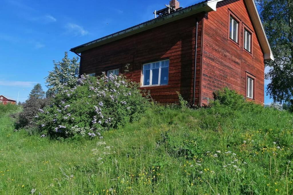 dom z czerwonej cegły na szczycie trawiastego wzgórza w obiekcie My river house (basic) w mieście Föllinge