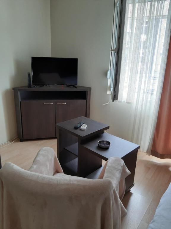 sala de estar con sofá y mesa de centro en MiMOZA 2, en Jagodina