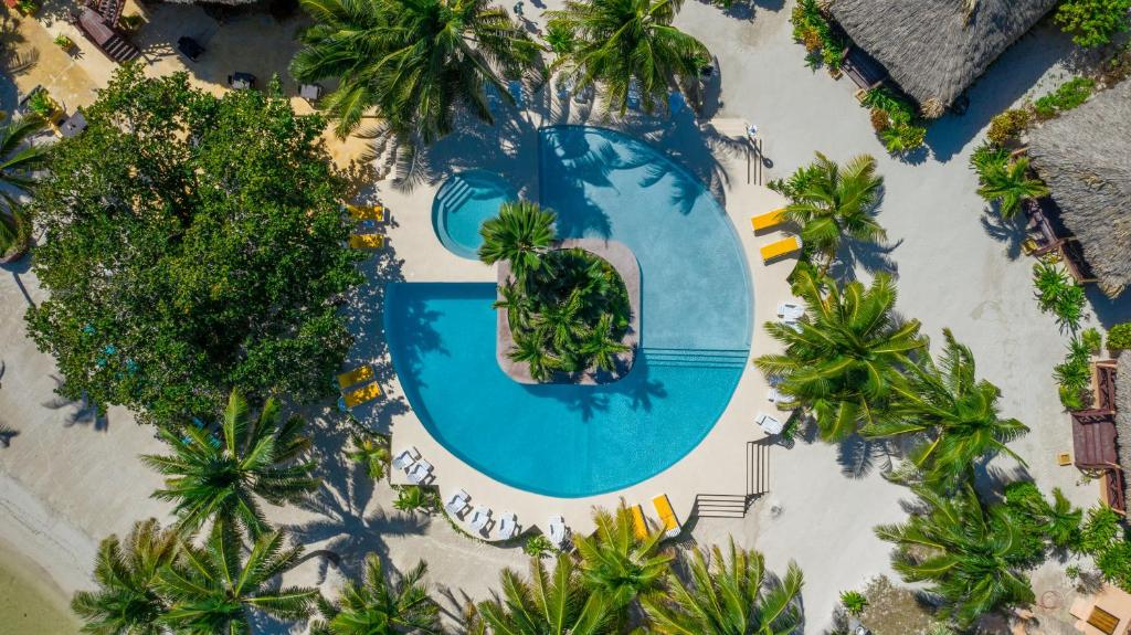 an overhead view of a swimming pool with palm trees at Portofino Beach Resort in San Pedro