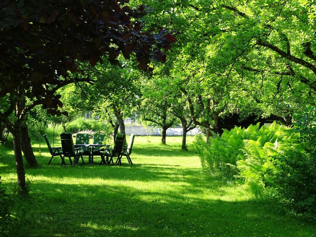 Zahrada ubytování Pension Rainhof
