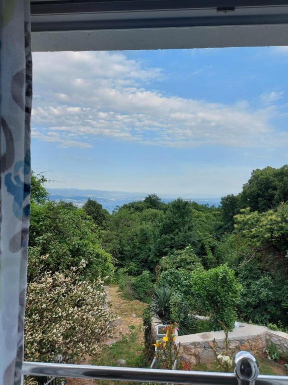 Příroda nedaleko apartmánu