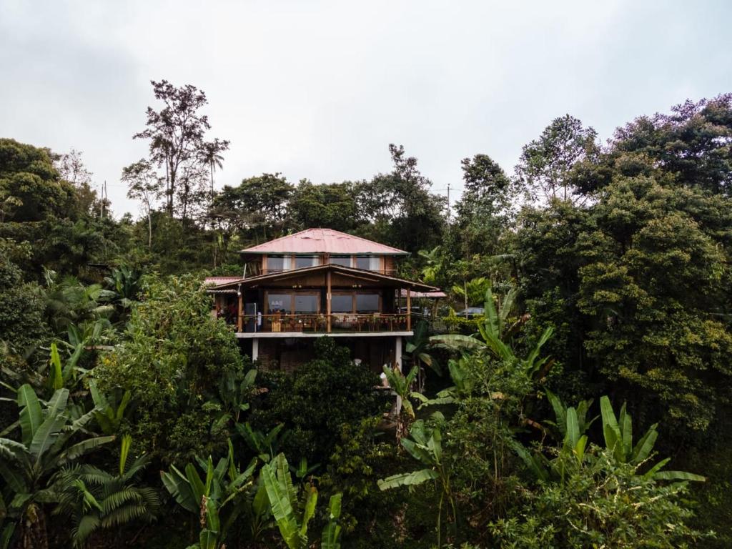 a house in the middle of the forest at Casa de Vista Alta in Mindo