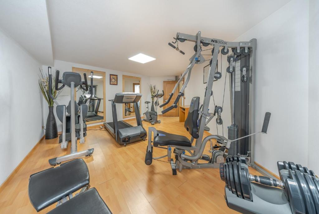 Fitness centrum a/nebo fitness zařízení v ubytování Hotel Belaval