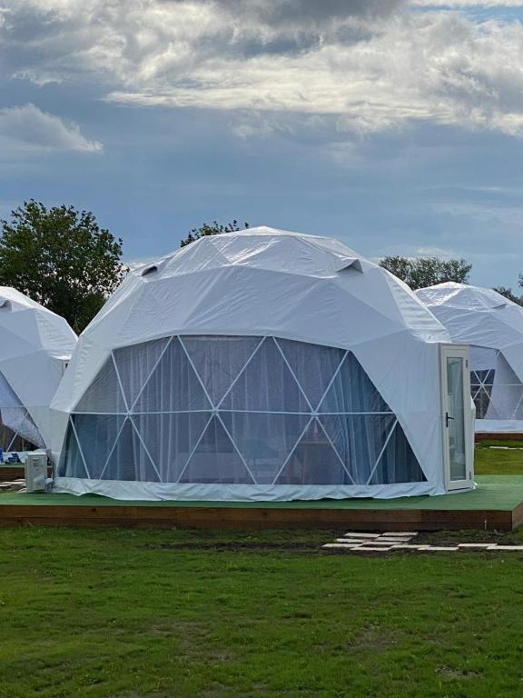 Zahrada ubytování Glamping By The Sea