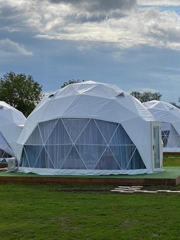 Zahrada ubytování Glamping By The Sea