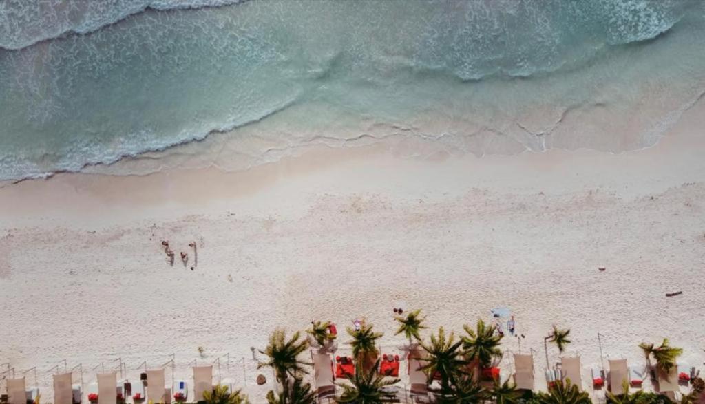 widok na plażę z palmami i ocean w obiekcie Hotel Poc Na Tulum w mieście Tulum