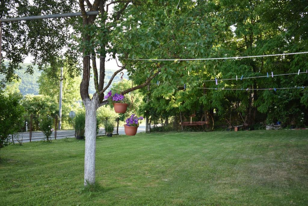 Vonkajšia záhrada v ubytovaní Apartman Rukavina