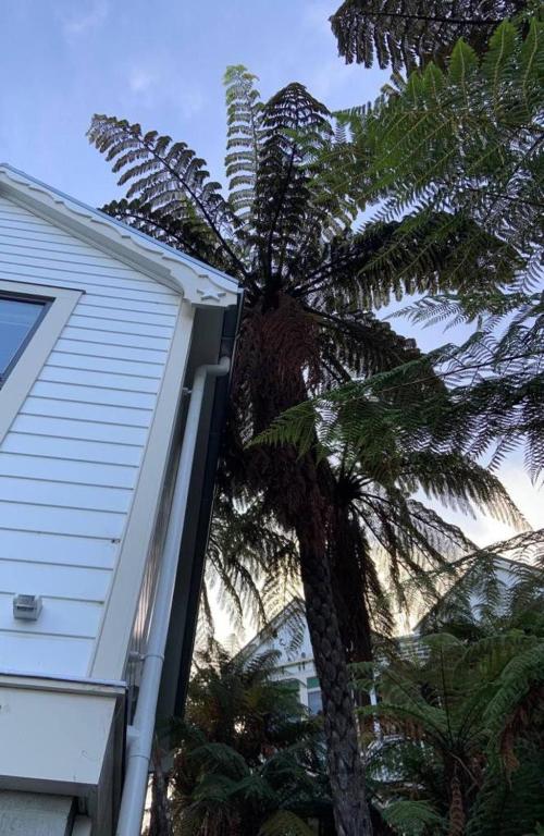 Tiny House in the Sky - Resim 16