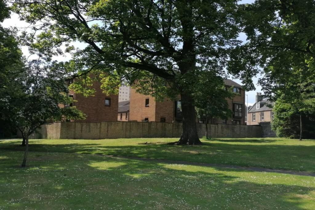 a tree in the middle of a field with a building at Faodail, 1 Bed Studio apartment at Ravenscraig Castle and Park in Fife