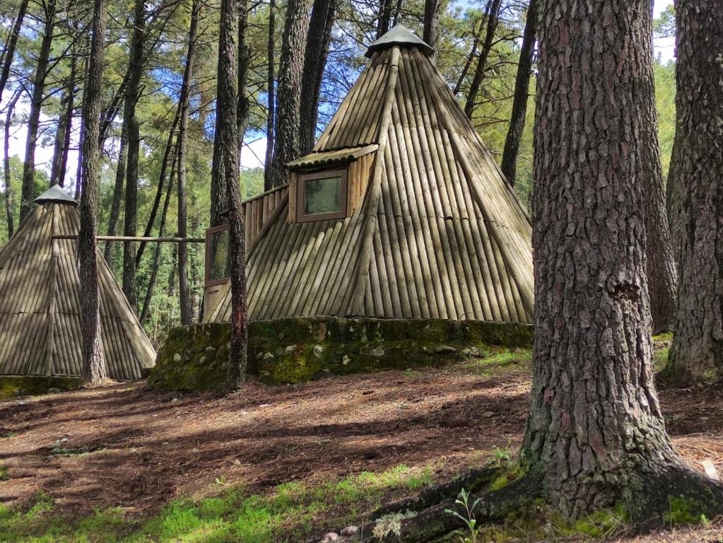 Jardín al aire libre en Glamping The Teepee