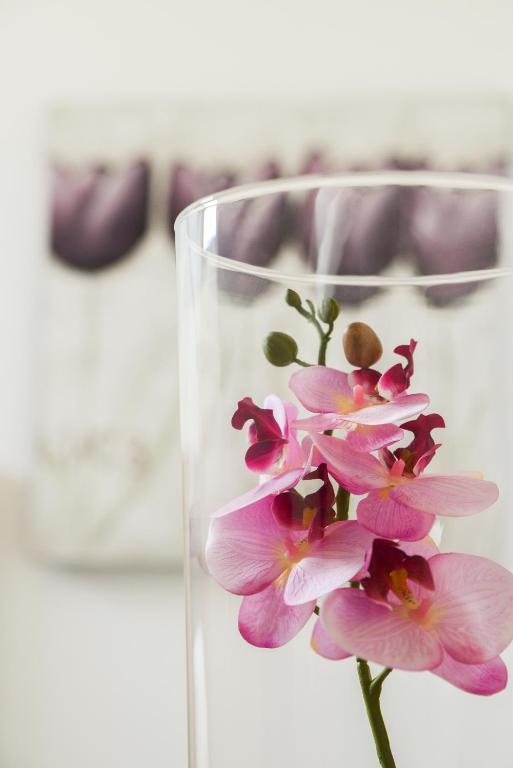 a glass vase with pink flowers in it at Hotel Meduza in Senj