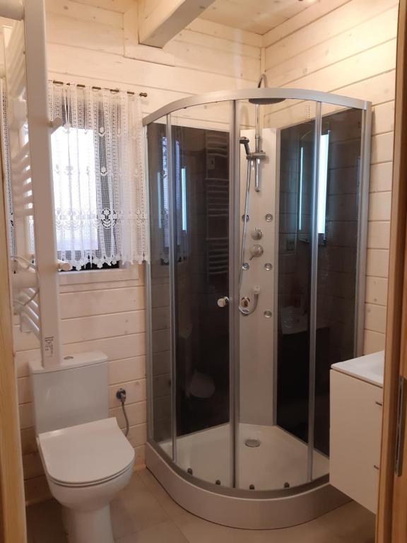 Kúpeľňa v ubytovaní Mazury "Willa Ślimakowo" w Pasymiu z jakuzzi, sauną, pomostem