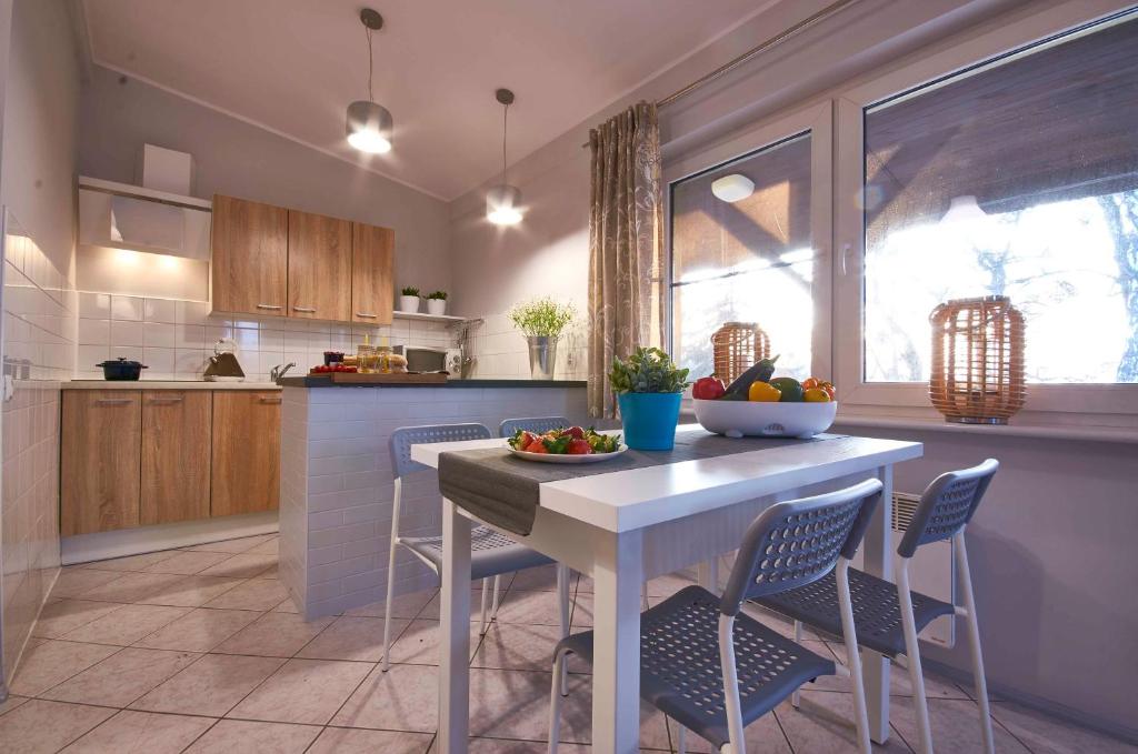 Kuchyňa alebo kuchynka v ubytovaní Arenda Apartamenty&Domki całoroczne