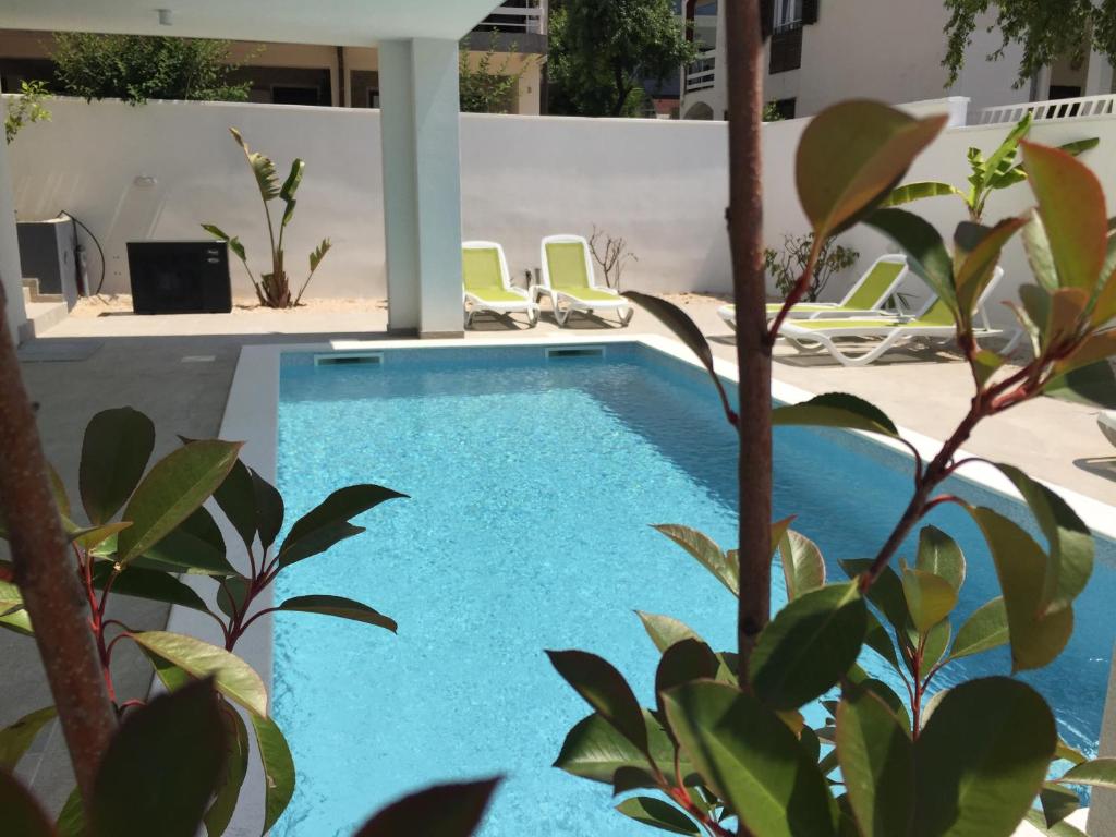 a swimming pool in a yard with chairs and trees at Diklo beach rooms-Adults Only in Zadar