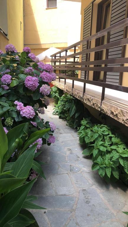 Zahrada ubytování Anthoula House Sarti