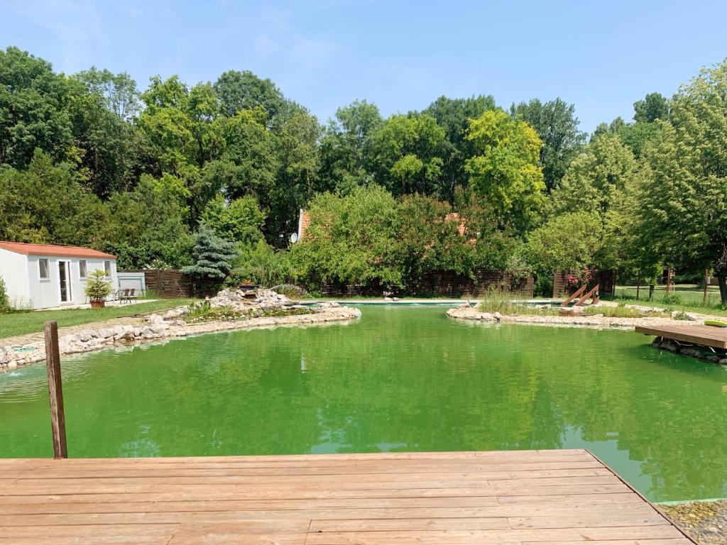 a view of a river with a wooden dock at Aranykert Apartmanok Vének in Vének