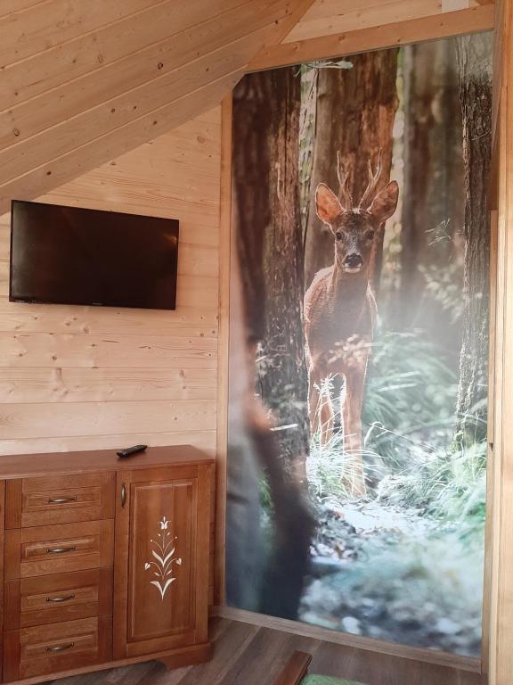Fotografia z galérie ubytovania Szałas na krawędzi v destinácii Bukowina Tatrzańska