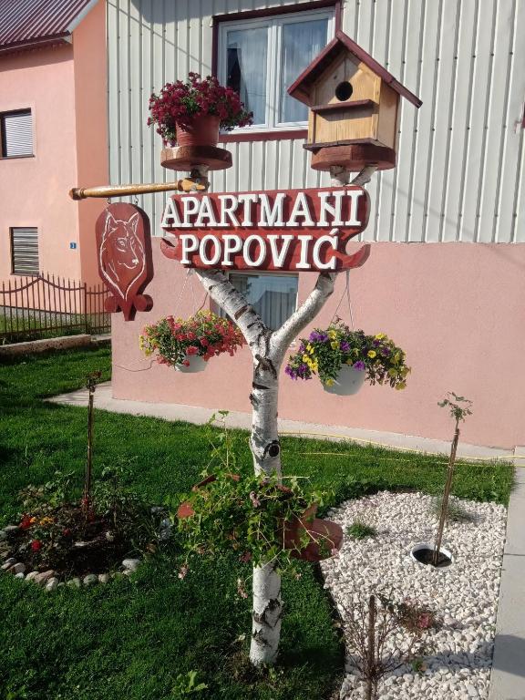 Certifikát, hodnocení, plakát nebo jiný dokument vystavený v ubytování Apartment Home Popovic