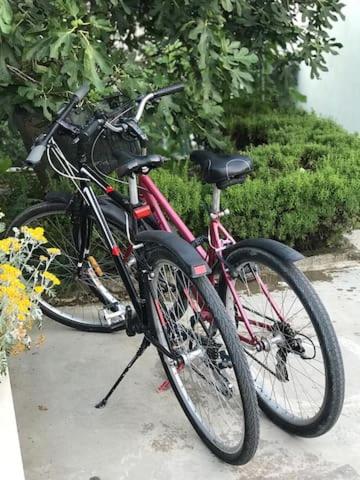 Jazda na bicykli v okolí ubytovania Apartment Bartol with Free Bikes and Great Local Food