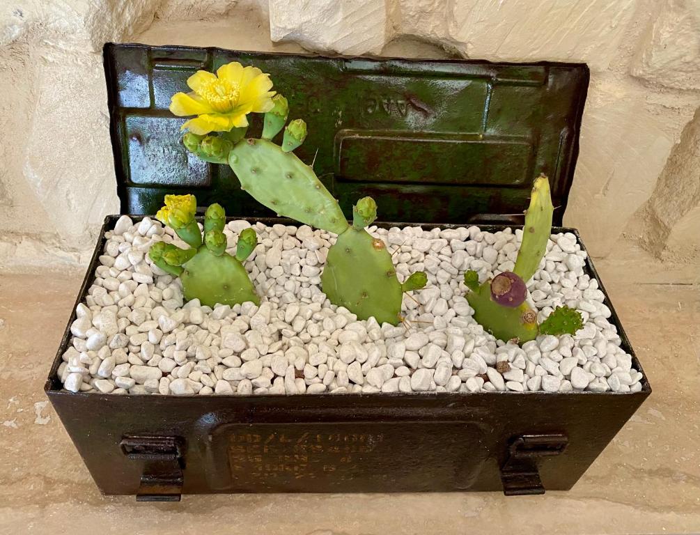 HABITARE Lecce & Salento - 10