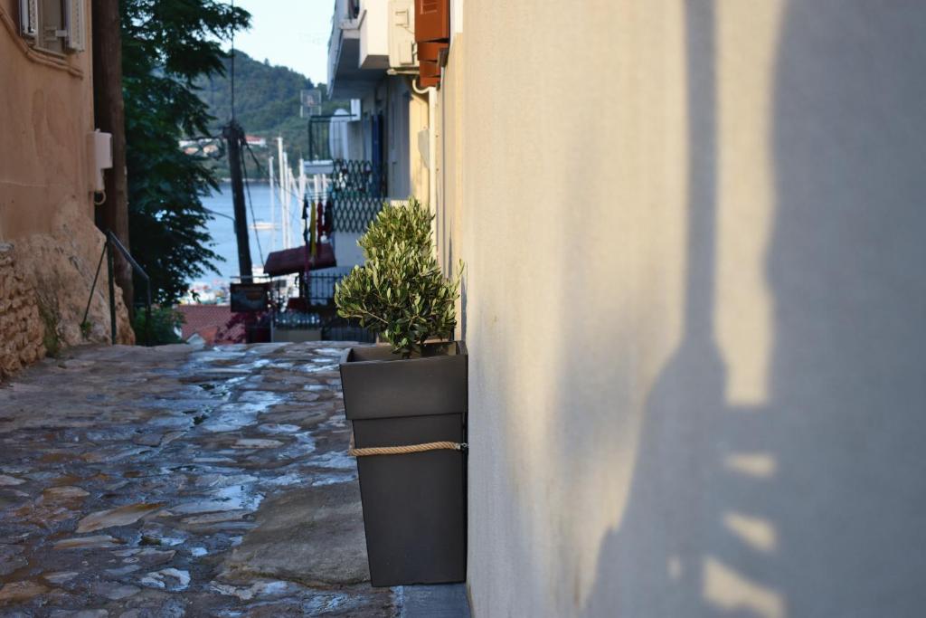 Fotografie z fotogalerie ubytování Voula's House v destinaci Skiathos