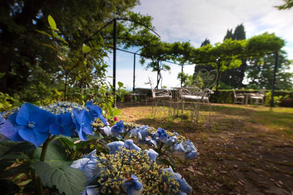 Zahrada ubytování Villa Scacciapensieri Boutique Hotel