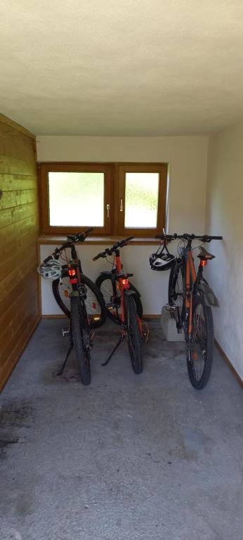 Jazda na bicykli v okolí ubytovania Appartement Taurachblick