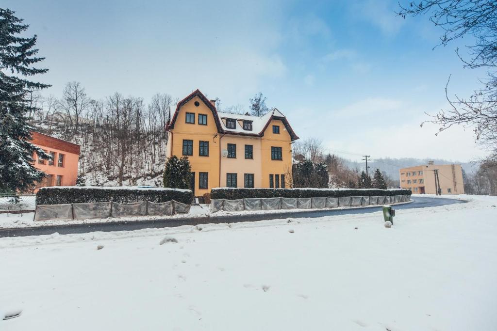 Schupplerova vila during the winter