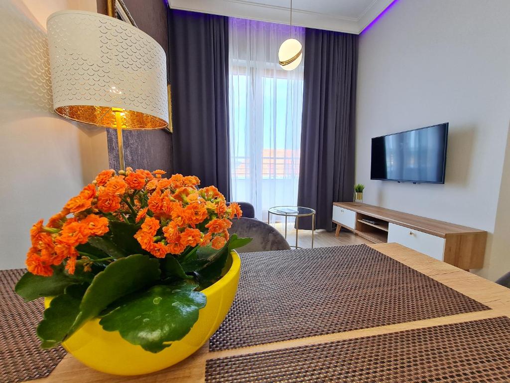 TV a/nebo společenská místnost v ubytování visit baltic - Platan Tower Victoria