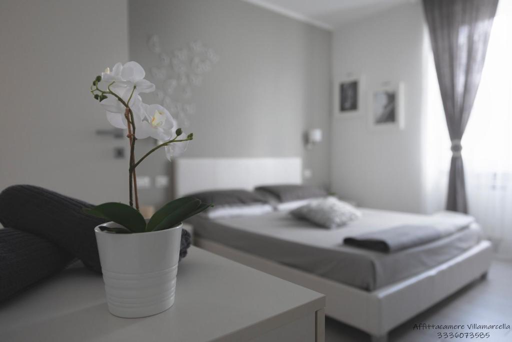 a room with two beds and a potted plant on a table at Affittacamere Villa Marcella in La Spezia