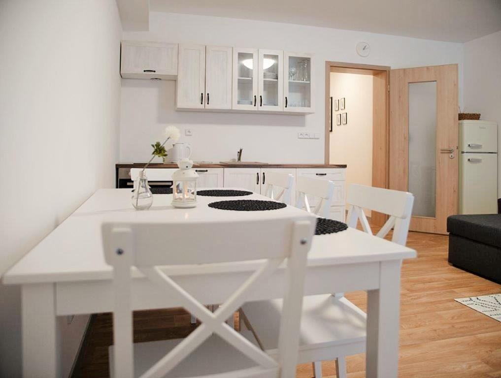 Kuchyň nebo kuchyňský kout v ubytování Apartmány Říčky "Sněženka"