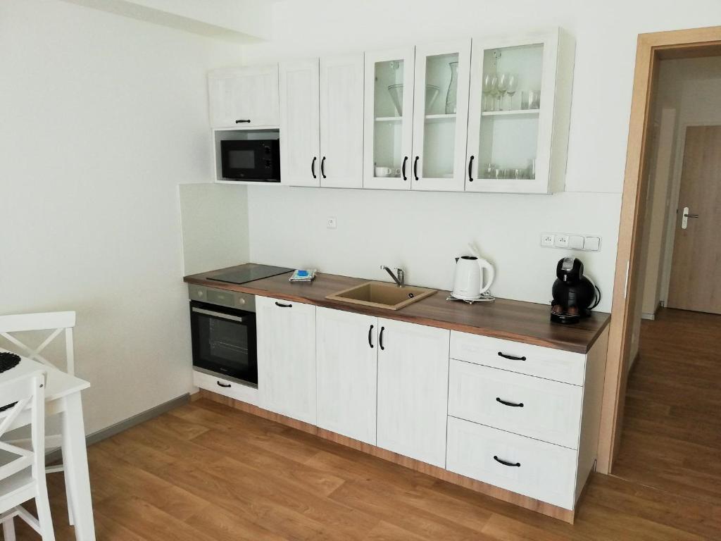 Kuchyň nebo kuchyňský kout v ubytování Apartmány Říčky "Sněženka"