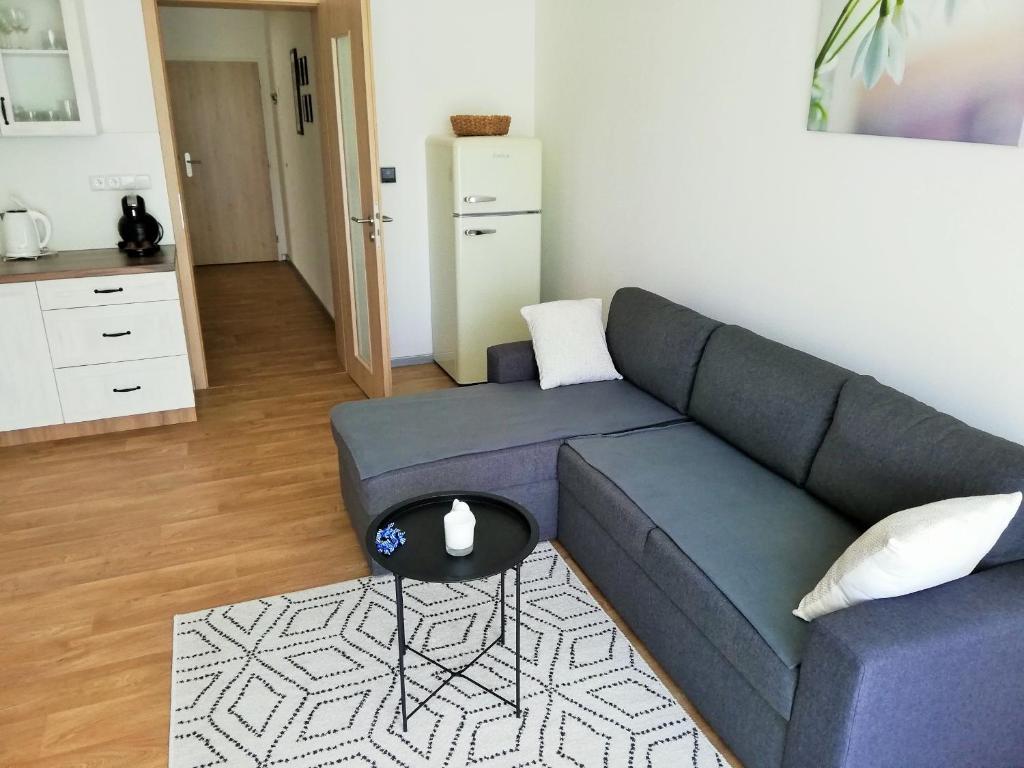 Posezení v ubytování Apartmány Říčky "Sněženka"