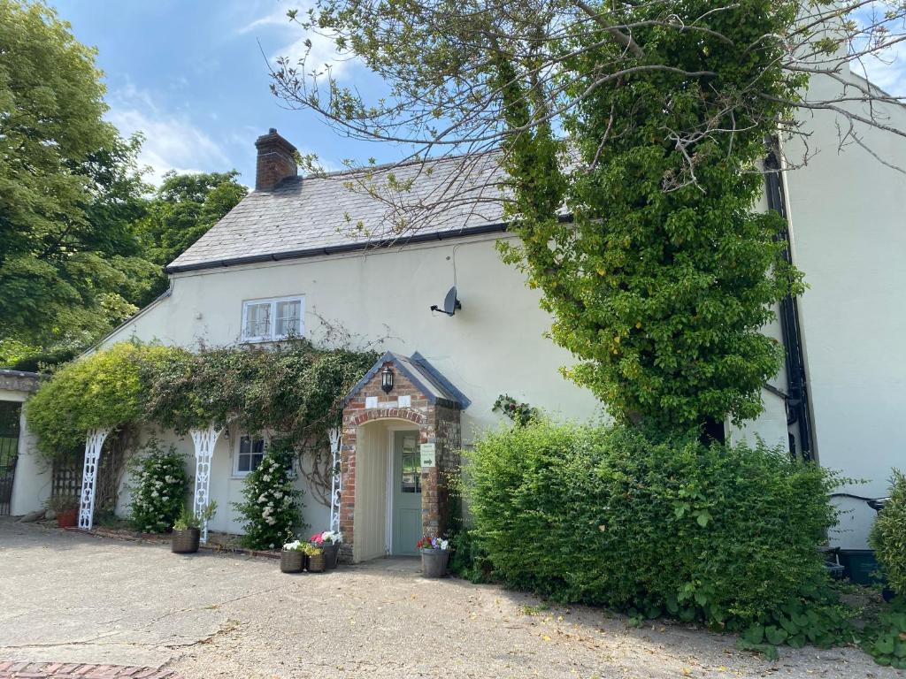 a white house with a green door at Heathcote House in Milborne Saint Andrew