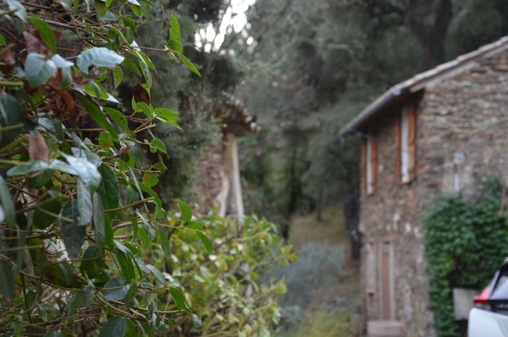 uma casa de tijolos com um edifício ao lado de uma árvore em Gîte Almanda - Calme & Nature - Mas Lou Castanea em Collobrières