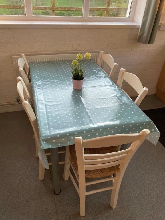 a blue table with a potted plant on it at Mill House Studio Apartment in Stranocum
