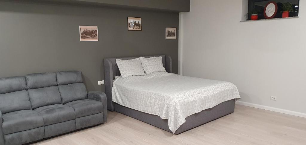 Yla Studio- Piatra Neamț - Housity