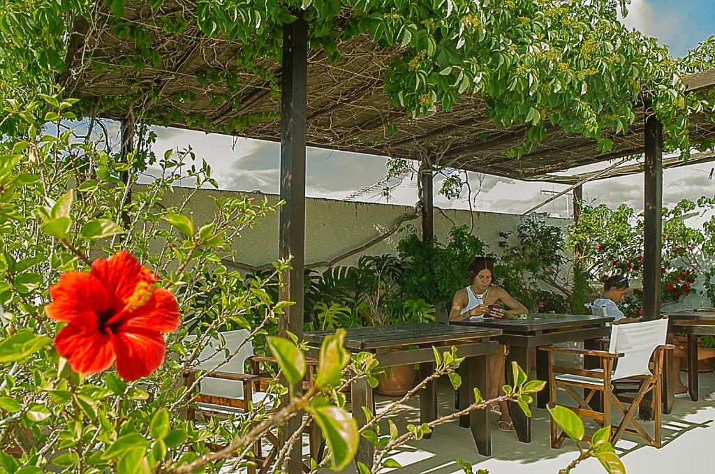 A garden outside Kalypso Studios & Rooms