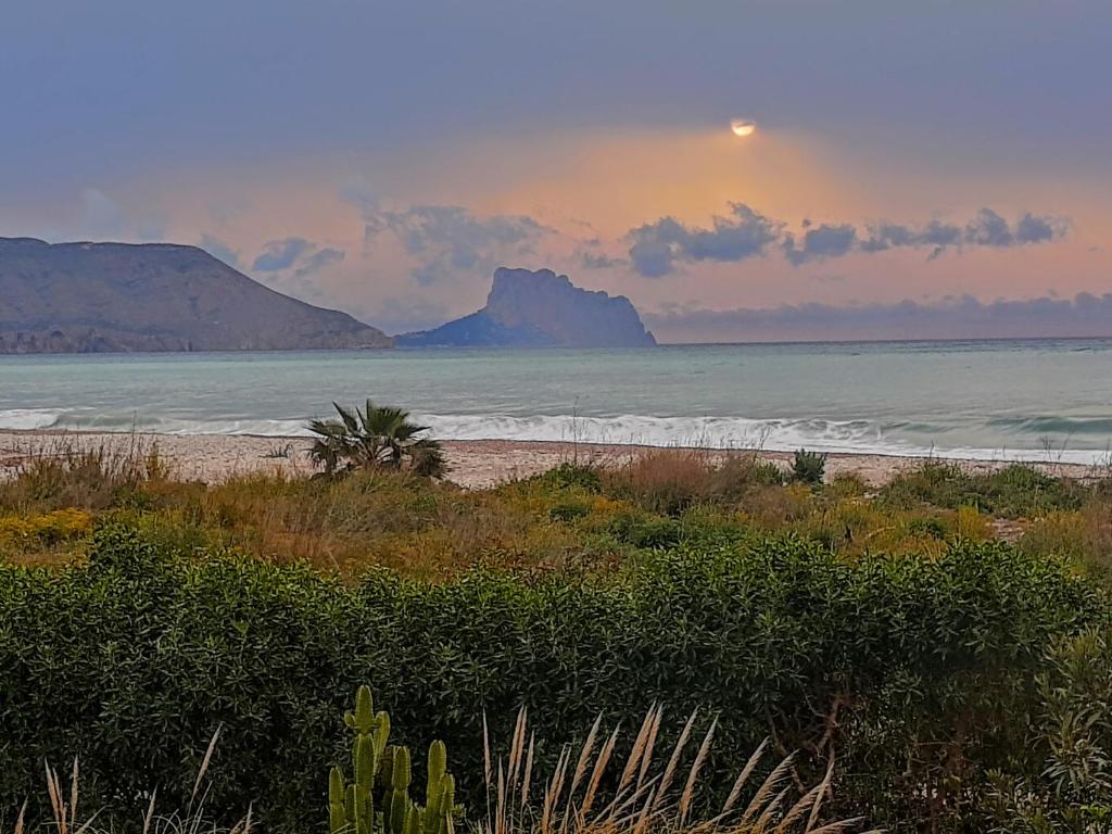 Fotografia z galérie ubytovania Beachfront Apt! AC - Pool - Parking v destinácii Altea