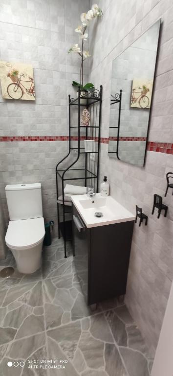 a bathroom with a toilet and a sink and a mirror at Huelintown in Málaga