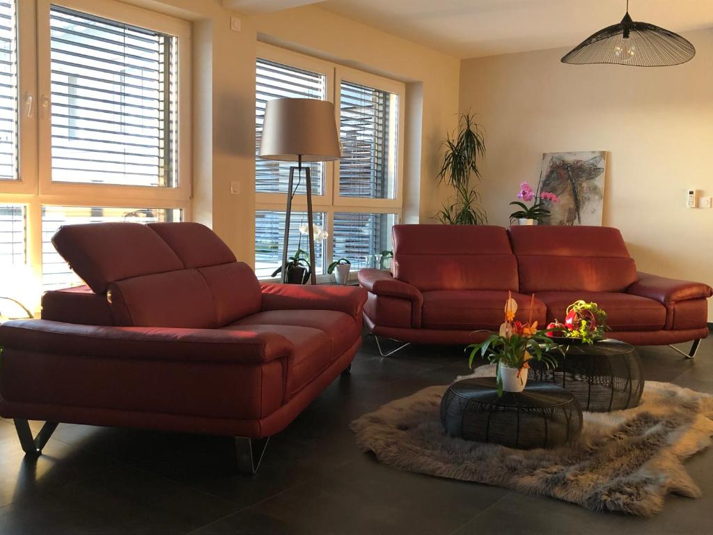 Maison d hotes Coeur de Village Alsace & spa - 13