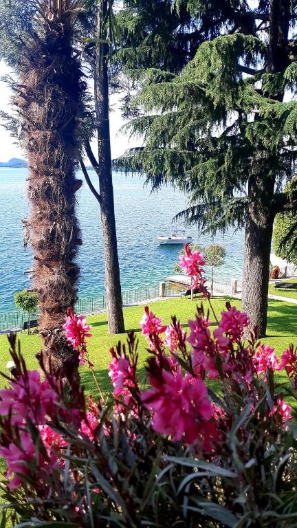 a view of a body of water with pink flowers at Bethel House in Gardone Riviera