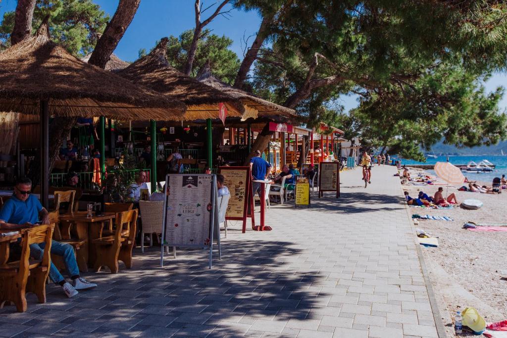 Príroda v okolí luxusného stanu