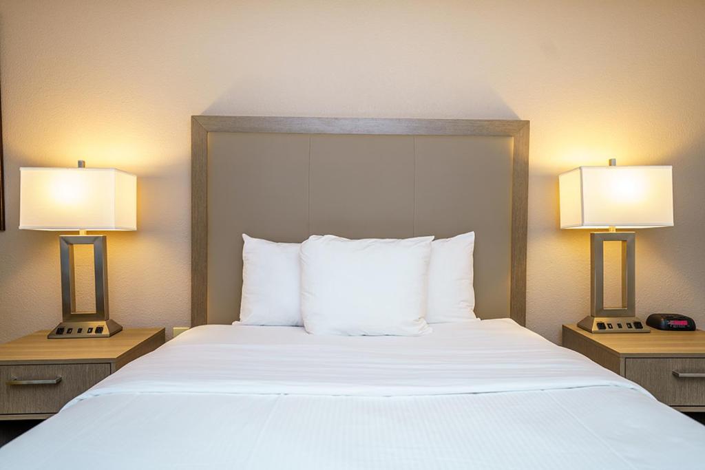 a hotel room with a large bed with two lamps at Wingate by Wyndham Brunswick GA I-95 in Brunswick