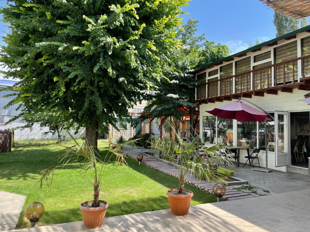 un patio con un árbol y una mesa con sombrilla en Eco House, en Osh